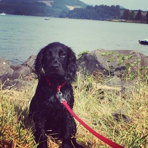 Meet your Posher, Erin